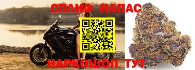 Альфа ПВП Ливны