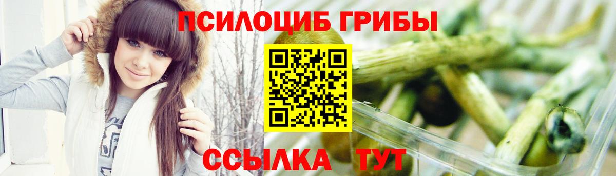 Псилоцибиновые грибы MAGIC MUSHROOMS Зеленогорск